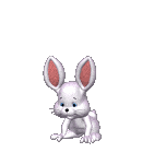 gedichtenbundel